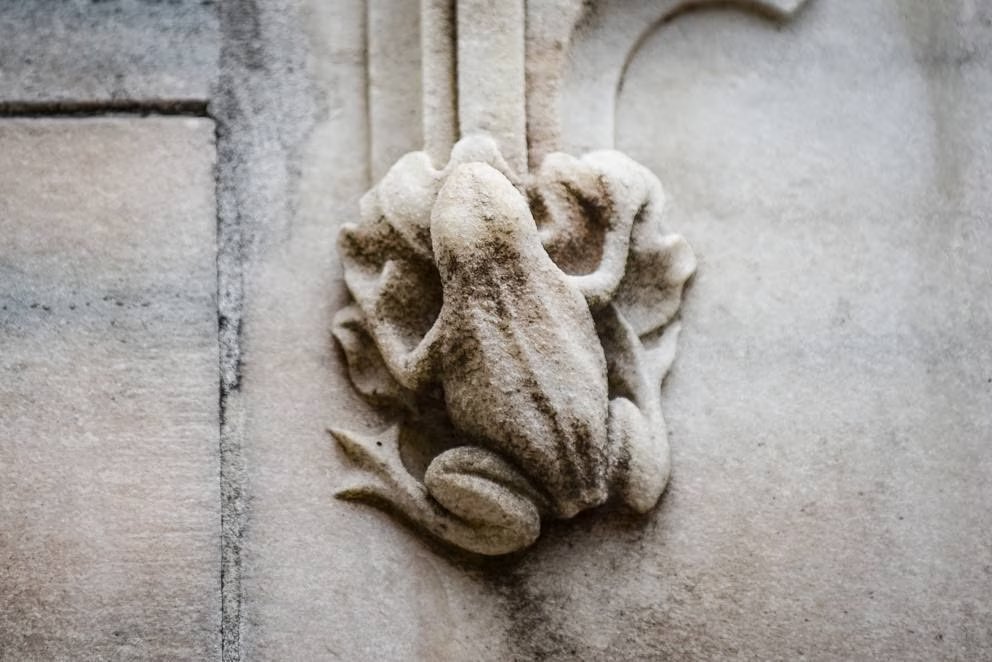 “Se prendi un rospo, lo metti in 
una pentola con l'acqua e lo porti 
sul fuoco, osserverai una cosa interessante: 
il rospo si adatta alla temperatura 
dell'acqua, rimane dentro e continua 
ad adattarsi all'aumento di temperatura.. 
Però quando l'acqua arriva al punto 
di