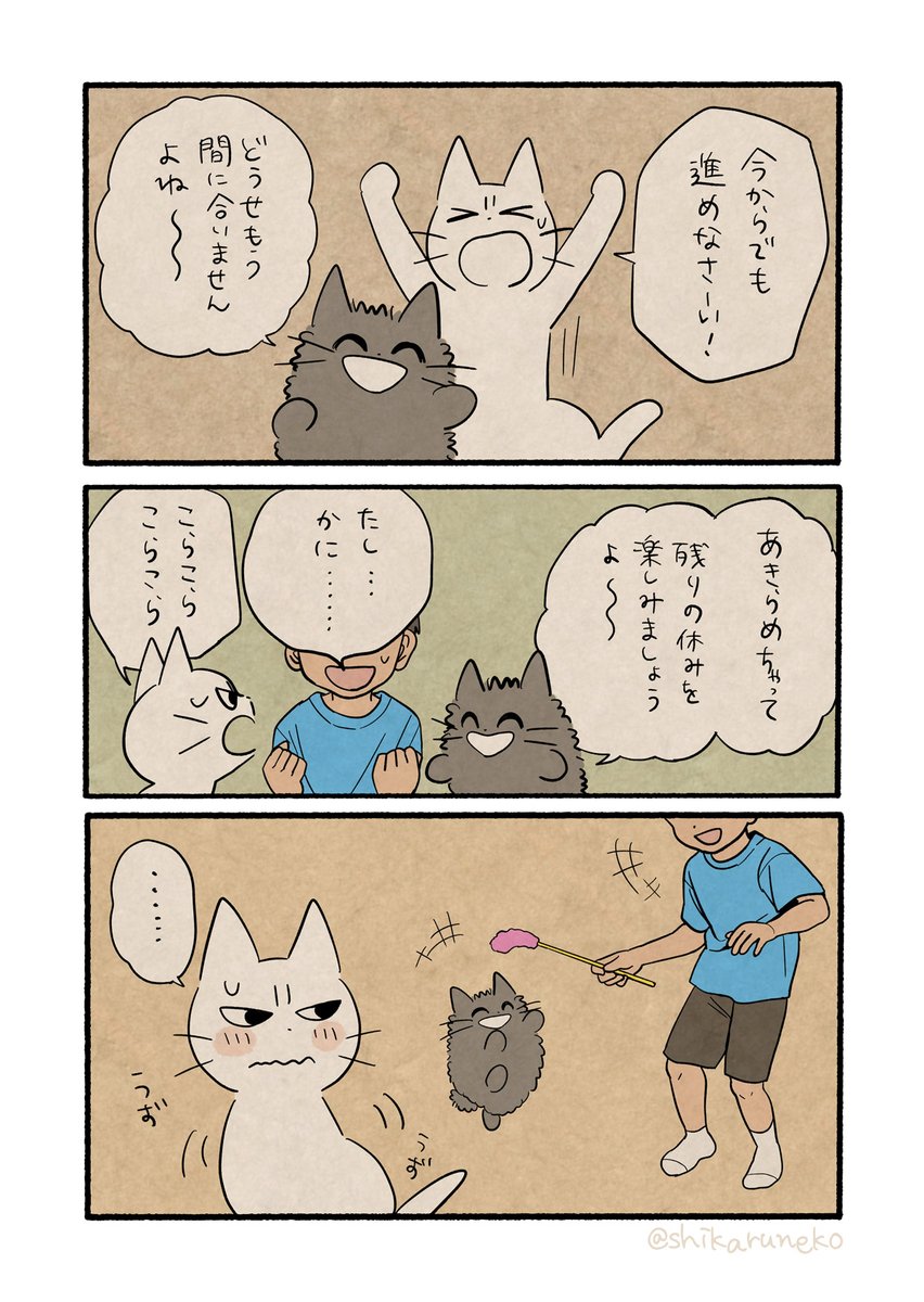 夏休みの宿題が終わってない人と しかるねこと あまやかすねこ 