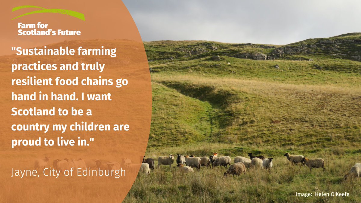 Food production depends on nature - including healthy soils, pollinators, and natural pest and disease regulators. We need a new farm funding system that helps all farmers and crofters work in harmony with nature. #AgricultureBill
farmforscotlandsfuture.scot
#FarmForScotlandsFuture