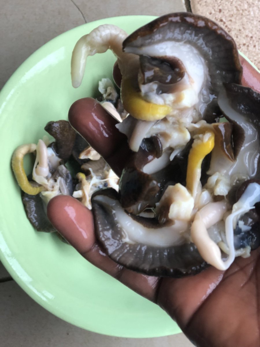 thesnailvendor's tweet image. Dm to order, please repost.
#Deliverynationwide
#Naturalsnails 
#Veryaffordable