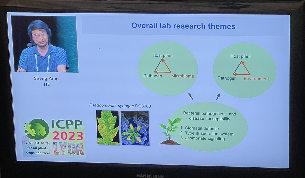KamounLab's tweet photo. We now welcome Sheng Yang He @DukeU with two studies on bacterial effectors and plant immunity #ICPP2023 https://t.co/ed5FxzLF6W