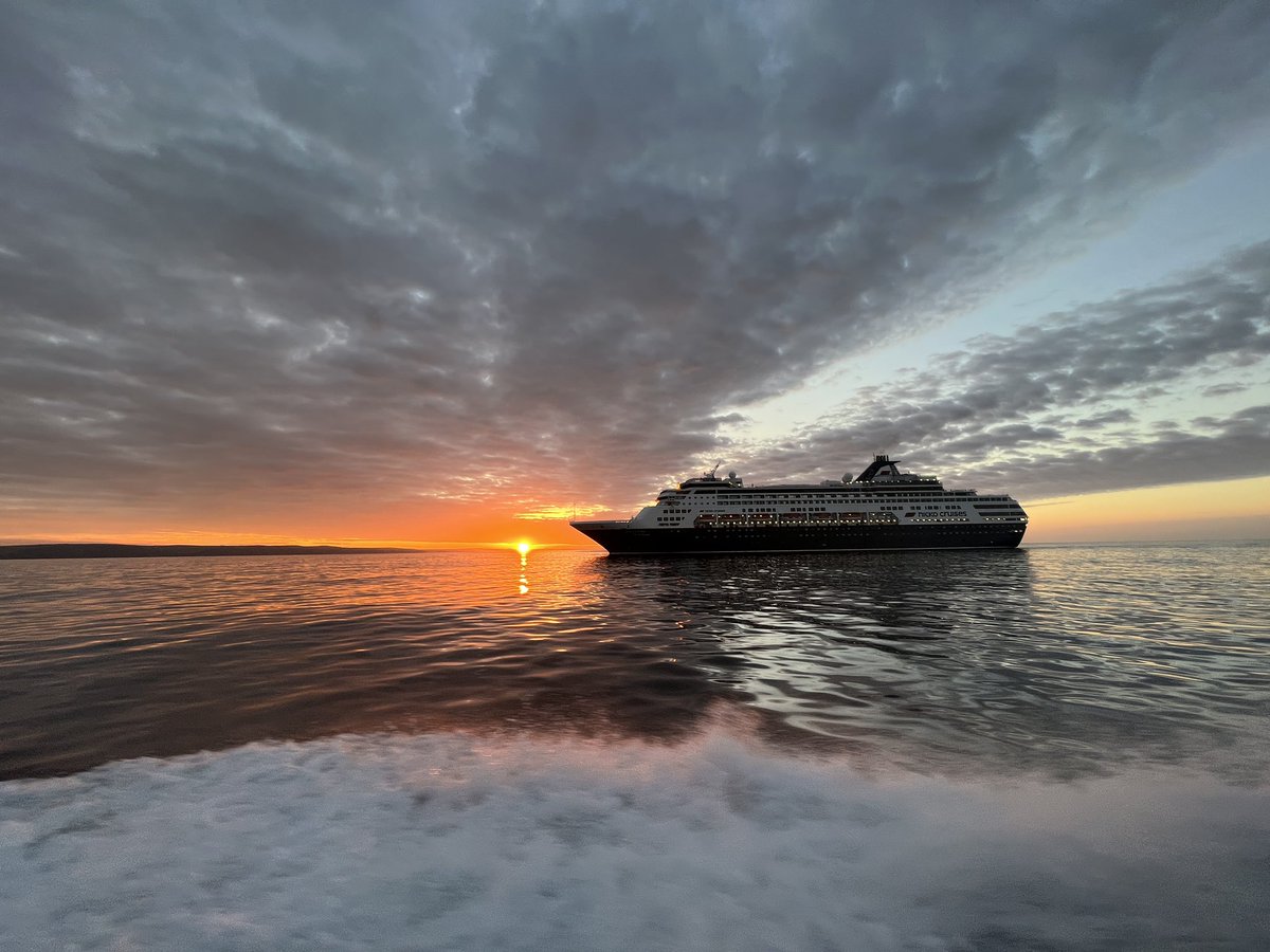 Will 〓〓💙 tweet media