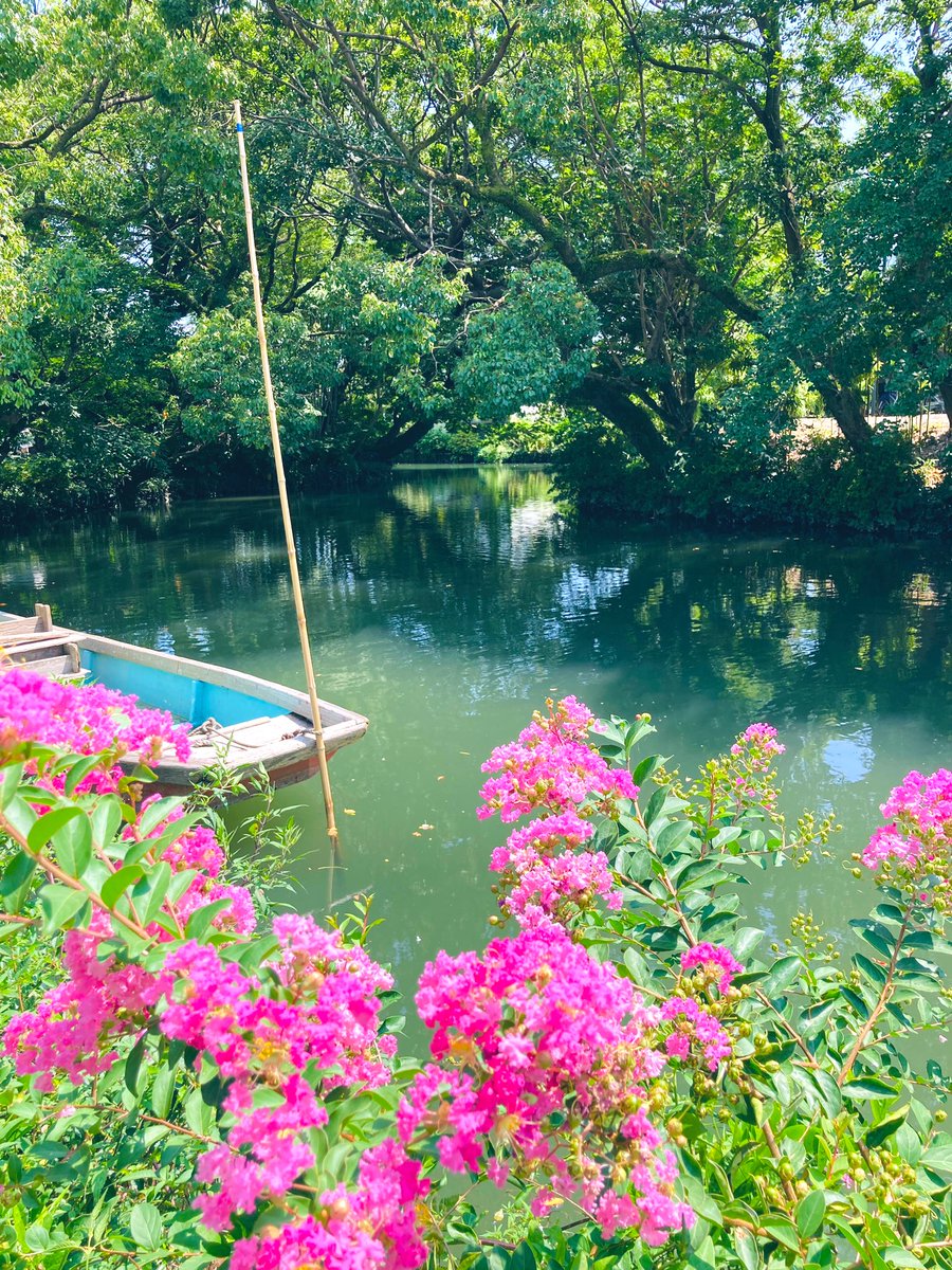 kukkoya's tweet photo. 無計画に柳川散策♪

夏は暑過ぎて途中で涼しいカフェでパフェ😄

中洲の屋台でワイワイ♪

もつ鍋と日本酒も美味しかった〜✨

福岡また行くよ〜🙌💕✨ https://t.co/iXxYAMIGl2