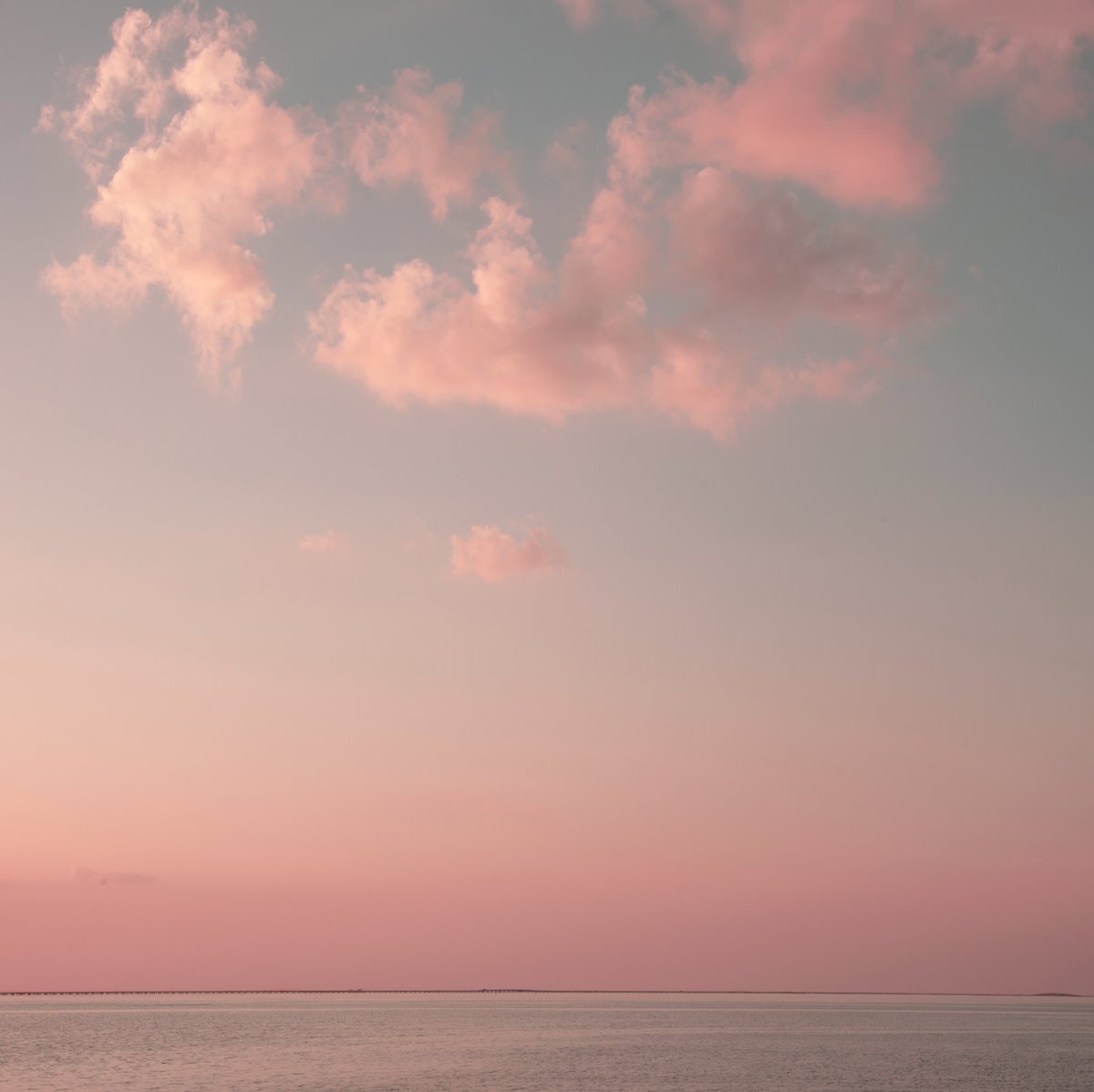 virginiahanusik's tweet image. there were no photographs of south louisiana in this morning's new york times piece about how new orleans will no longer exist during my generation so here's some beauty that i know and love very much