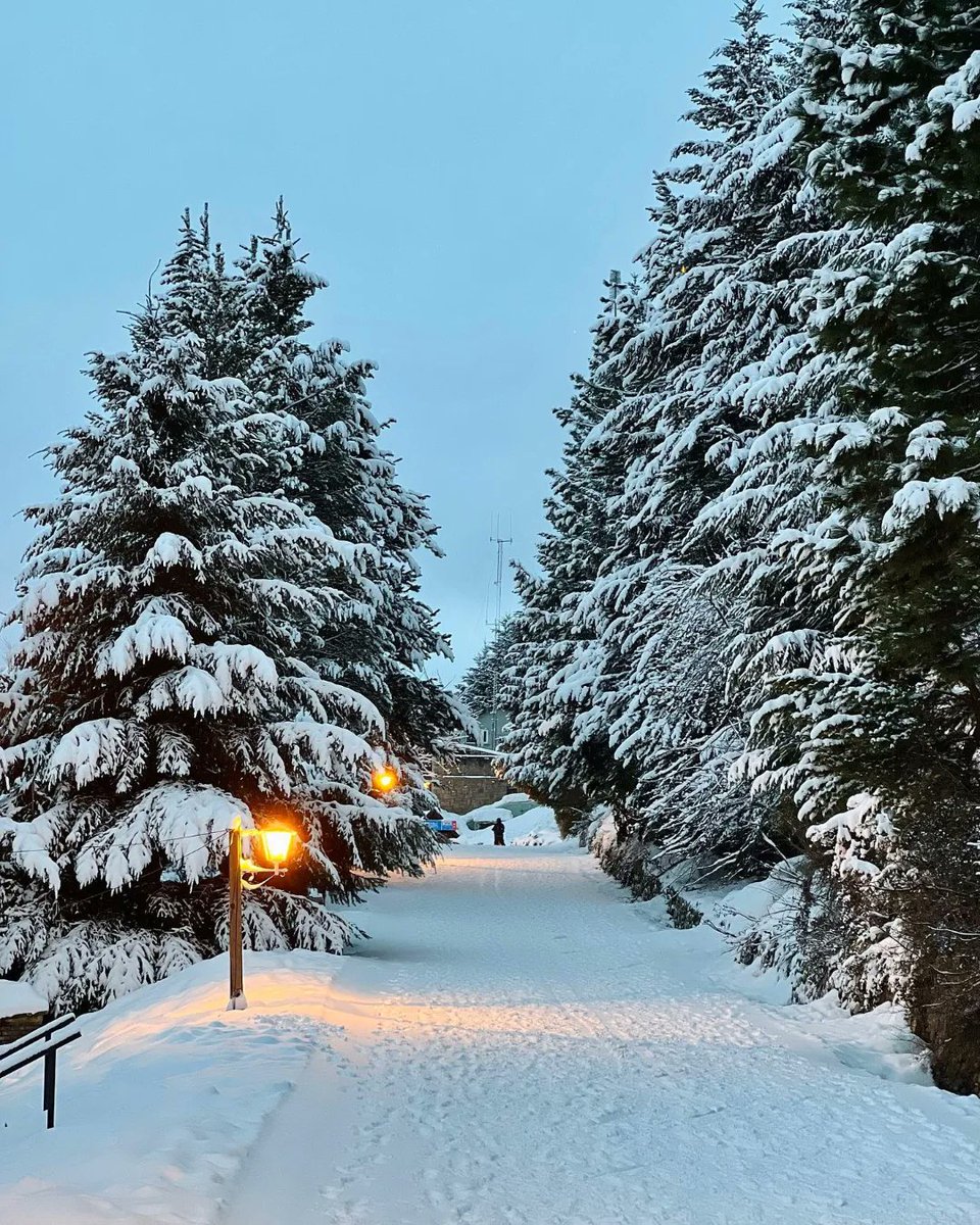 Cómo van a convencerme de que la magia no existe... ✨
Invierno en Bariloche ❄️🏔️⛷️
Fotos: @luissicappelletti