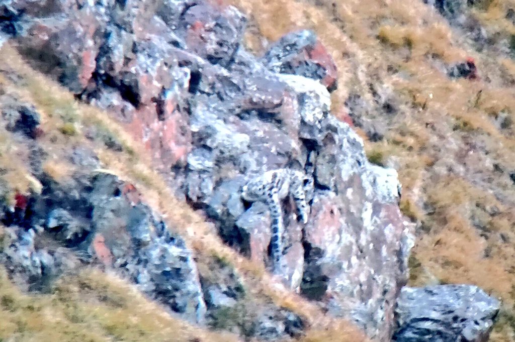 Tom Mabbett tweet media