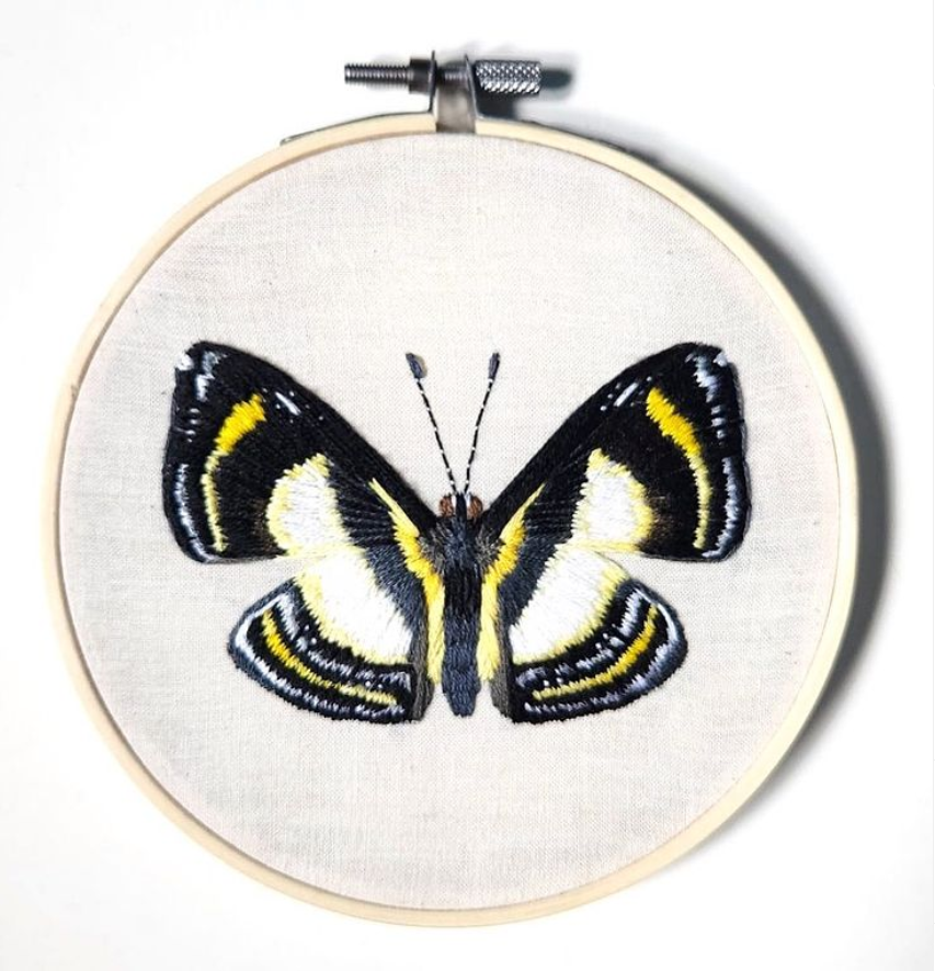 Such a pretty and realistic butterfly! IG:rabbithatdesigns #butterfly #embroidery #thread #hoop #craft #realistic #wings #insect