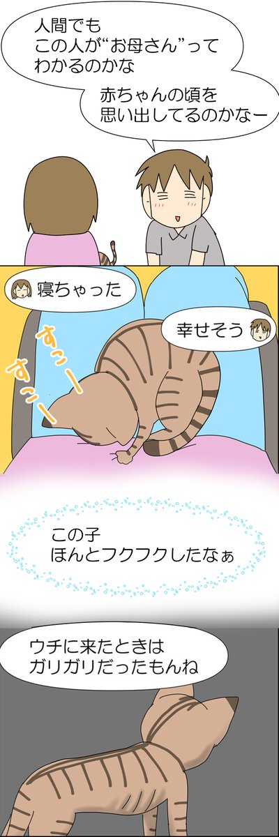 保護猫を通して野良猫を思う漫画 2/3 