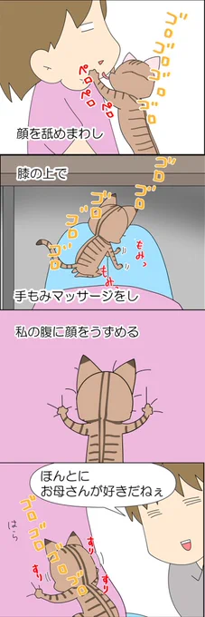 保護猫を通して野良猫を思う漫画 2/3 
