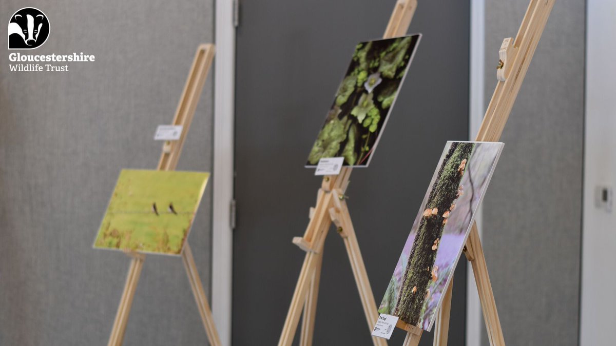 Have you been down to Robinswood Hill to admire our photo competition exhibition and vote for your favourite yet?  If you're unable to make it in person, you can vote for your favourite online 👇 ow.ly/N8yS50PAHov