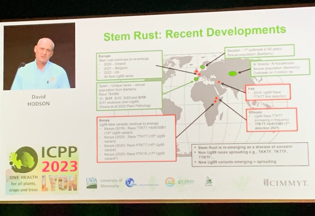 wheatpath's tweet photo. "Disease early warning and advisory systems - The case of #wheat #rusts" by David Hodson @CIMMYT #ICPP2023 (great overview 👍), who confirmed the recent outbreaks and spread of stem rust in Europe, as highlighted in France in 2021 &amp; 2022 @arvalispatho @INRAE_Bioger https://t.co/QYoFyfrnXq