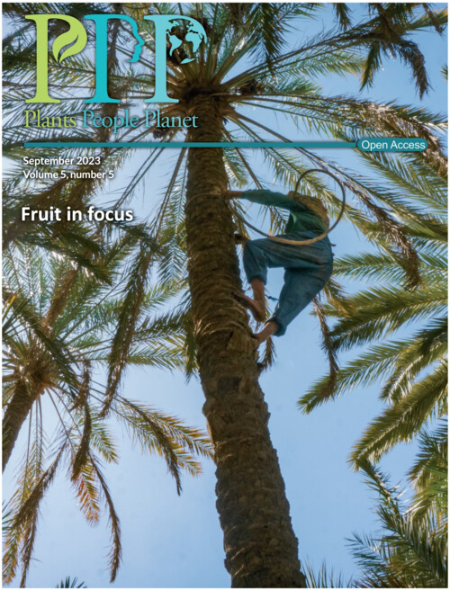 Vincent Battesti (@battesti) on Twitter photo Our #alUlaDPA paper (with <a href="/muriel_grosb/">Muriel Gros-Balthazard 🌴🧬🏺</a>) featured on the cover of <a href="/plantspplplanet/">Plants People Planet 🌱👥🌐</a> special issue “Fruit in Focus”:
nph.onlinelibrary.wiley.com/doi/toc/10.100…
What lies behind a fruit crop variety name? A case study of the barnī date palm from al-‘Ulā oasis, Saudi Arabia 10.1002/ppp3.10326
#alUla Our #alUlaDPA paper (with <a href="/muriel_grosb/">Muriel Gros-Balthazard 🌴🧬🏺</a>) featured on the cover of <a href="/plantspplplanet/">Plants People Planet 🌱👥🌐</a> special issue “Fruit in Focus”:
nph.onlinelibrary.wiley.com/doi/toc/10.100…
What lies behind a fruit crop variety name? A case study of the barnī date palm from al-‘Ulā oasis, Saudi Arabia 10.1002/ppp3.10326
#alUla