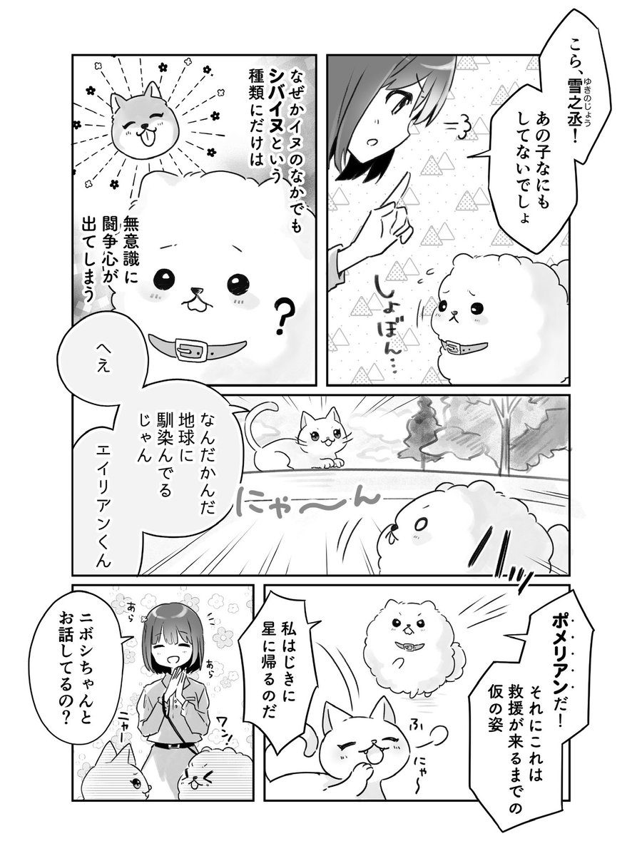 pomeranianX's tweet photo. （2/2） https://t.co/oldIKY7PC5