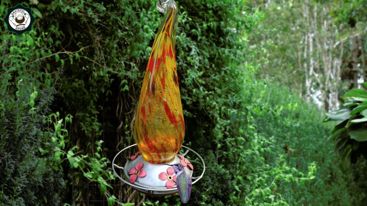 It may take some time for hummingbirds to discover your blown glass hummingbird feeder, so be patient and keep refilling it with fresh nectar. Once they start visiting, they will likely return regularly, so it's important to keep the feeder clean and filled with fresh nectar.☝