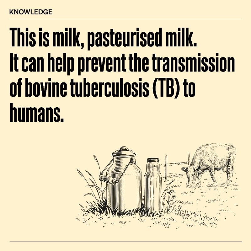 WOAH's tweet photo. #DYK? #BovineTuberculosis can affect humans and cause up to 10% of human #tuberculosis cases in some countries.
#ZoonoticDiseases #Pasteurisation