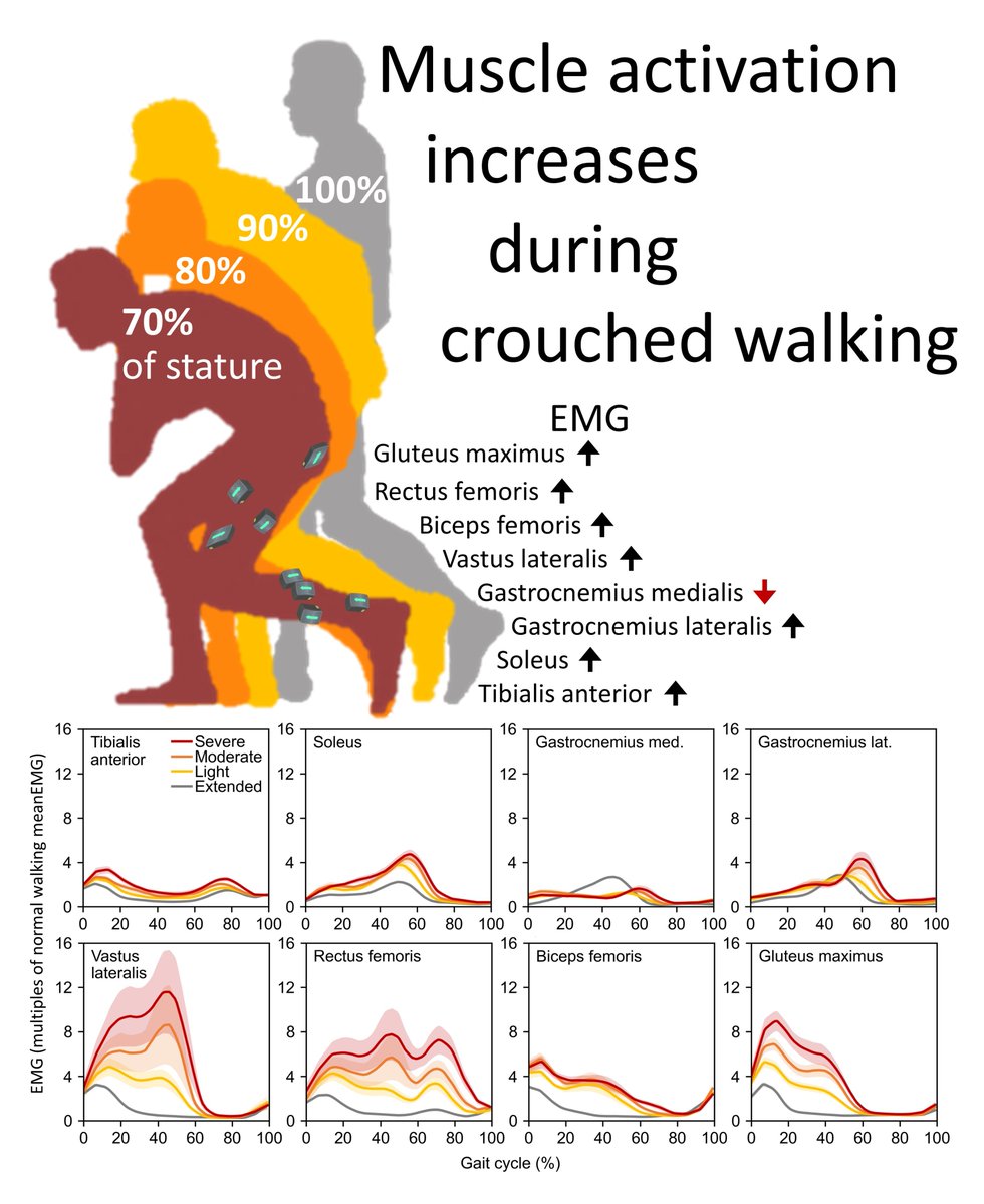 Martin Hora tweet media