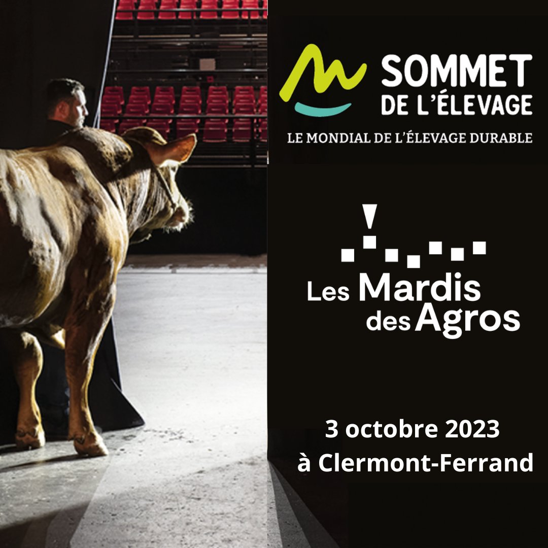 [EVENT] – Mardis des Agros !

⭐𝐋𝐞 𝐭𝐡𝐞̀𝐦𝐞⭐ : "Élevage des ruminants et alimentation humaine"

𝐈𝐧𝐟𝐨𝐬 𝐩𝐫𝐚𝐭𝐢𝐪𝐮𝐞𝐬 :
📅 Mardi 3 octobre à 18h30
📍 Sommet de l'Élevage - 63800 Cournon-d'Auvergne
💻En direct sur YouTube

Inscription ici :
aptalumni.org/agenda/mardi-d…