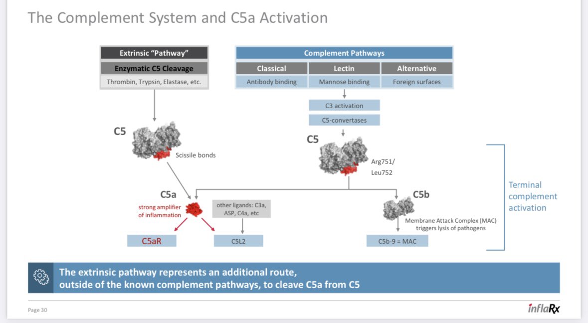 lexy9111's tweet photo. @veryvirology I must clearly disagree with you, Vilobelimab only blocks the C5a part, not the C5b part, which is an important mechanism for bacterial immune defense. Please do your homework properly. https://t.co/nqLnMZBUrW