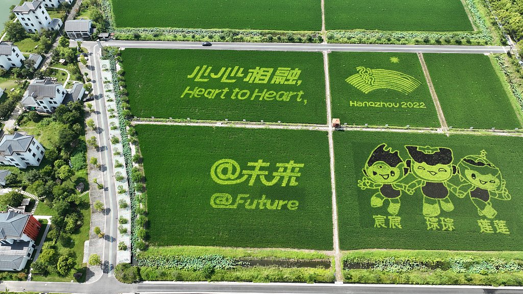 CGTNOfficial's tweet photo. It's only 30 days until the opening ceremony of the 19th #AsianGames! With elements that can be seen everywhere in the city, #Hangzhou has immersed in the Asian Games atmosphere and is ready to welcome the event. Stay tuned with CGTN for more. #AsianGamesCountdown https://t.co/qYd0Kd9mHW