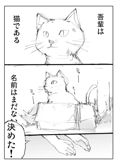 吾輩は猫 (1/2)