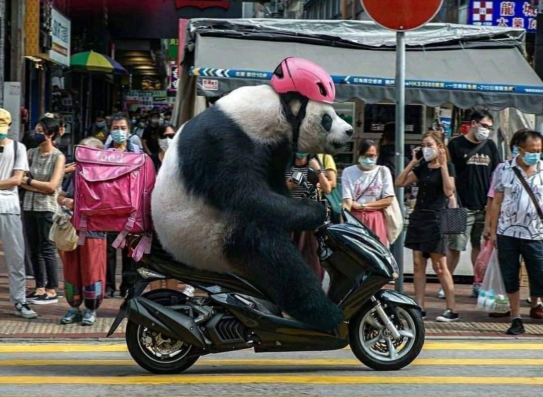 Jujutsu Kaisen is real