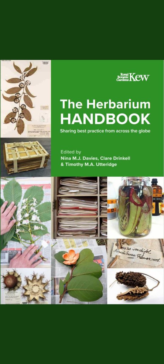 Nina Davies (@nina__davies) on Twitter photo Really excited to be sharing with you the new Herbarium Handbook, 77 authors and 19 herbaria contributed to make this happen, thank you! Available to preorder. <a href="/claredrinkell/">Clare Drinkell</a> <a href="/timutteridge/">Dr Timothy Utteridge</a> @KewScience Really excited to be sharing with you the new Herbarium Handbook, 77 authors and 19 herbaria contributed to make this happen, thank you! Available to preorder. <a href="/claredrinkell/">Clare Drinkell</a> <a href="/timutteridge/">Dr Timothy Utteridge</a> @KewScience