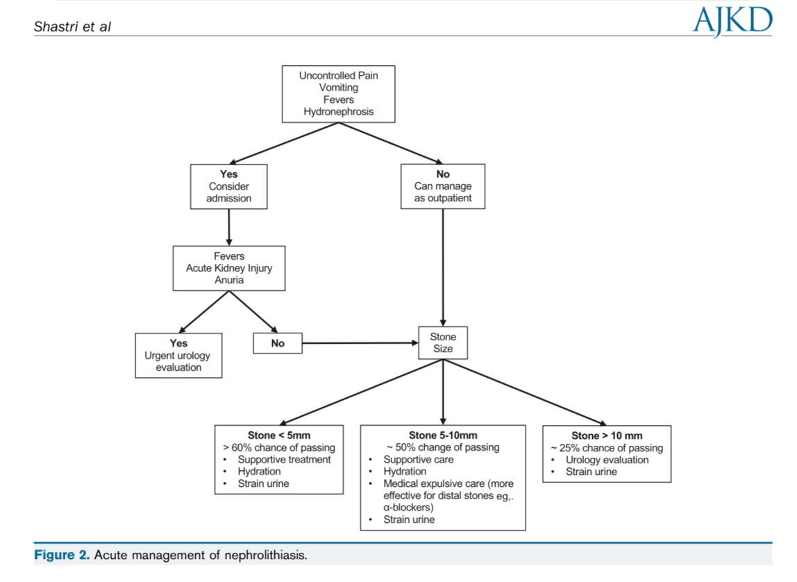 10% de la población tiene litiasis renal, 50% recurrirá en 10 años. Ante cólico renoureteral por litiasis, un lito que mide 5-10mm tiene ~50% posibilidades de salir con tratamiento de soporte y α-bloqueadores

#ISNyoung

Am J Kidney Dis 2023
doi: 10.1053/j.ajkd.2023.03.017.