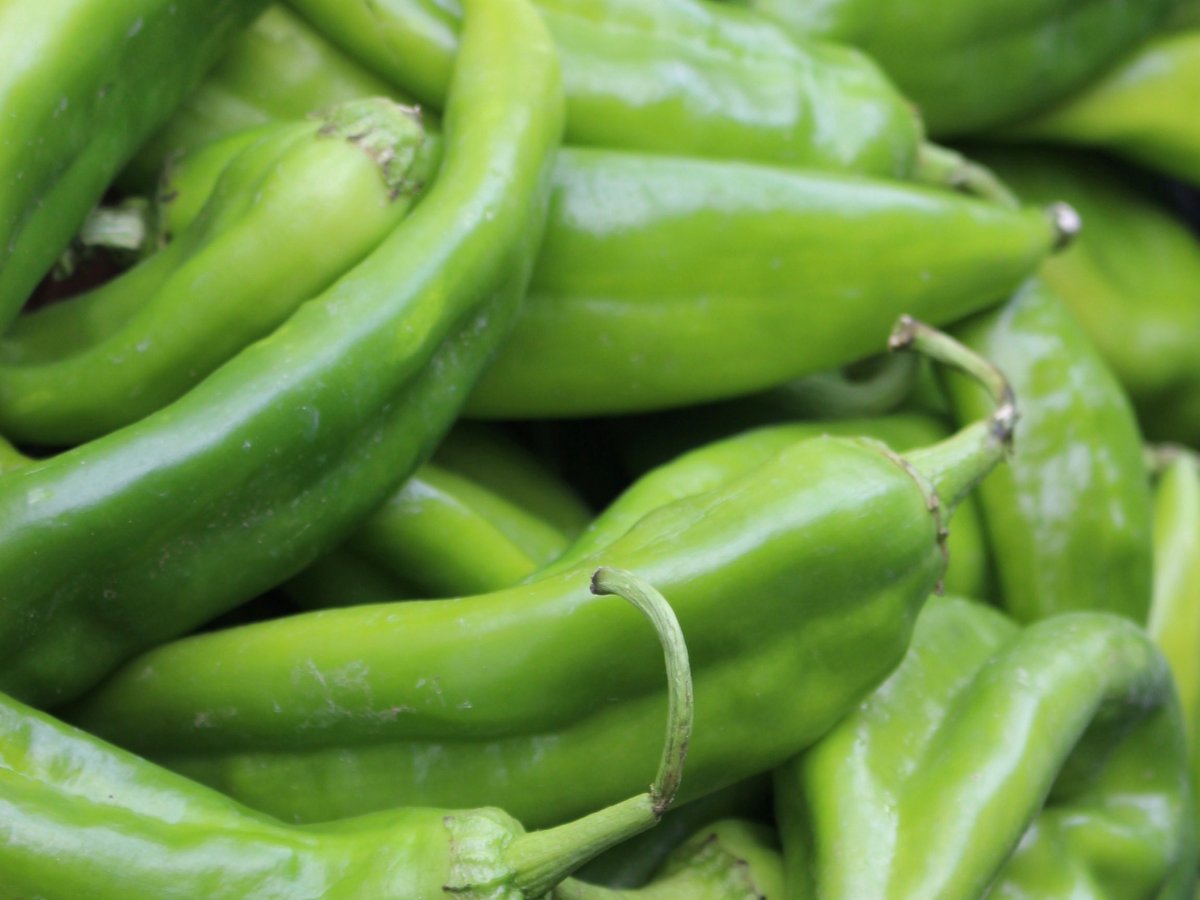 Kings Food Markets (@kingsfoodmkts) on Twitter photo We are fired up for this weekend! Hatch Chile Roasting at 3 of our store locations! Events are 10-4PM. More info here + Pre-ordering: kingsfoodmarkets.com/lp/hatchiles.h…
8/25 - Garwood 
8/26 - Short Hills 
8/27 - Midland Park We are fired up for this weekend! Hatch Chile Roasting at 3 of our store locations! Events are 10-4PM. More info here + Pre-ordering: kingsfoodmarkets.com/lp/hatchiles.h…
8/25 - Garwood 
8/26 - Short Hills 
8/27 - Midland Park