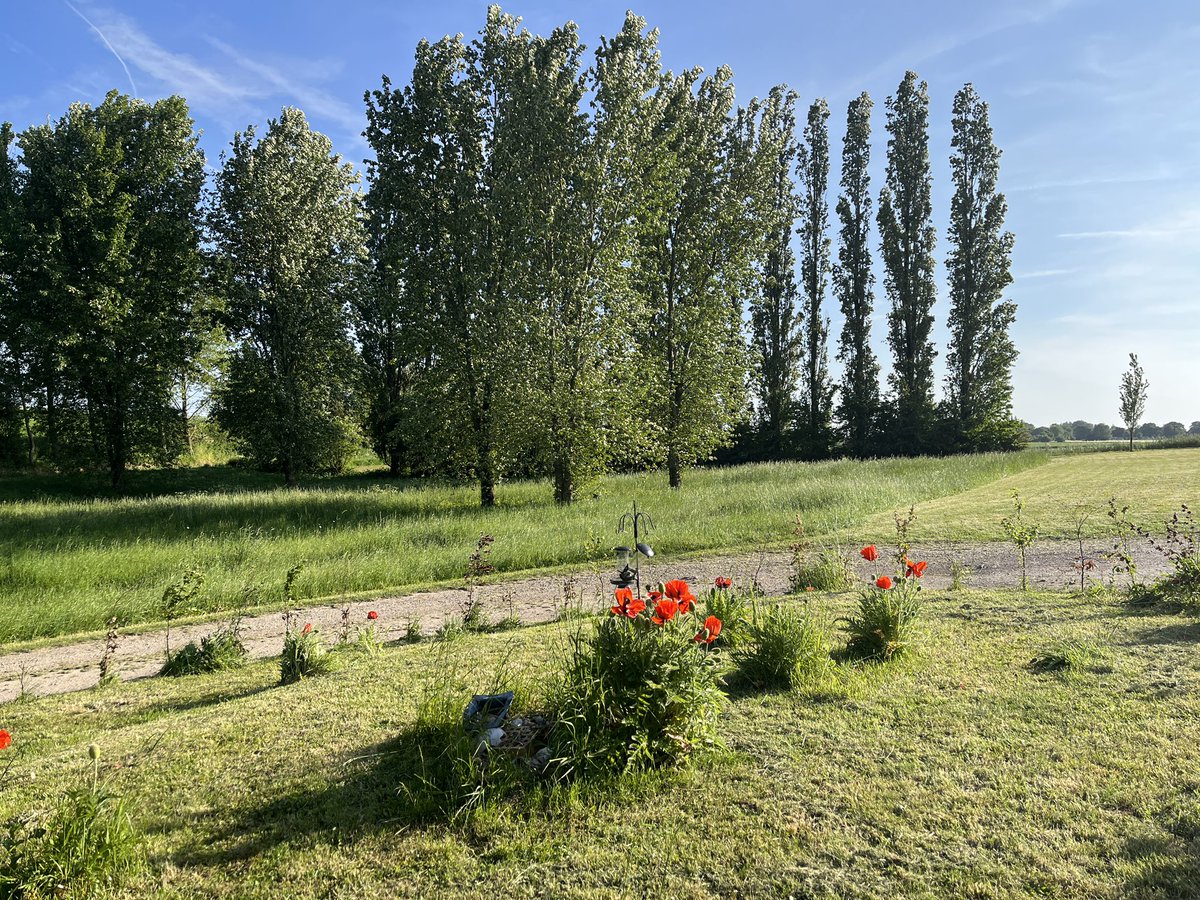carnel_cathy's tweet photo. My husband @CyrilCarnel opened a gîte at the beginning of the year on the Somme Battlefields. Couldn’t be more proud of what a fantastic job he’s doing welcoming visitors to this special place. https://t.co/JwKaD1zHYw