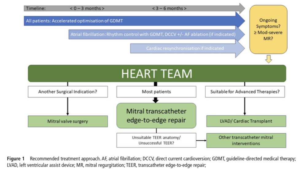 SeguraCardio's tweet photo. 📌Management of secondary mitral regurgitation: from drugs to devices
#CardioTwitter #Mitral #EchoFirst #Mitraclip #Coapt #MitraFR #EducationInHeart https://t.co/ZVBXdeJ0Kl