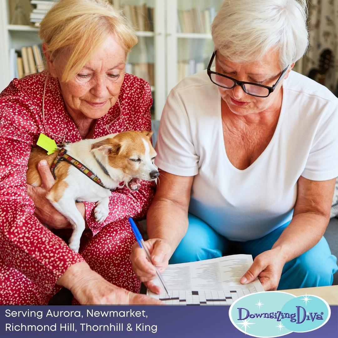 DivaYorkWest's tweet image. SUMMER TIP
Keep your mind sharp and active this summer! 🧩✨ Engage in mentally stimulating activities like reading, puzzles, or learning something new. 🌟 Challenge yourself and explore new horizons while having fun! 

 #downsizingseniors #downsizingmanager #movingseniors #senio