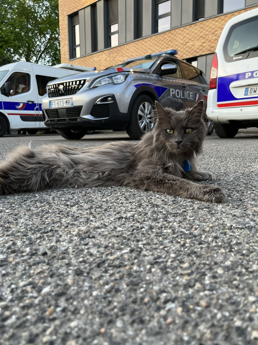 Merci pour ces 7 années passées à vos côtés, vous allez me manquer 😿
R.I.P 2006-2023