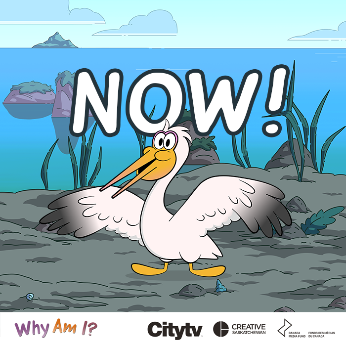 WhyAmIKids (@whyamitvshow) on Twitter photo Today's the day! #WhyAmIKids premieres on Citytv Saskatchewan at 7:07am, 9:15am and 11:22am.
A BIG thank you to the cast, crew, and funders!
<a href="/City_tv/">Citytv+</a>
<a href="/creativesask/">Creative Saskatchewan</a>
<a href="/CMF_FMC/">Canada Media Fund</a> Today's the day! #WhyAmIKids premieres on Citytv Saskatchewan at 7:07am, 9:15am and 11:22am.
A BIG thank you to the cast, crew, and funders!
<a href="/City_tv/">Citytv+</a>
<a href="/creativesask/">Creative Saskatchewan</a>
<a href="/CMF_FMC/">Canada Media Fund</a>