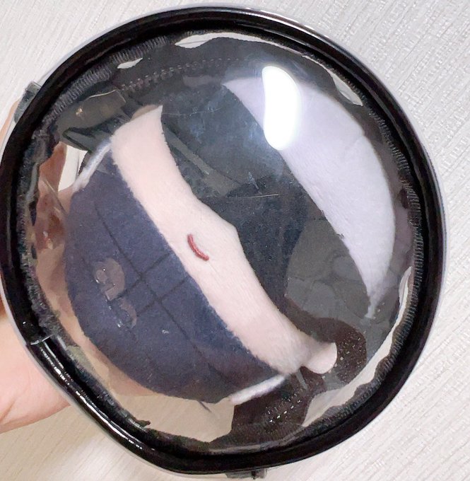 おまけで貰ったCLIOのポーチにぴったり入るふわ五。 