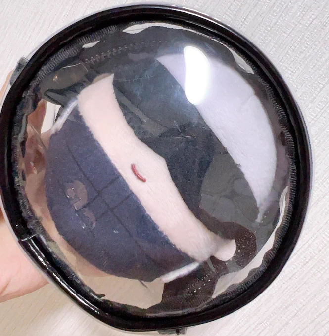 おまけで貰ったCLIOのポーチにぴったり入るふわ五。 