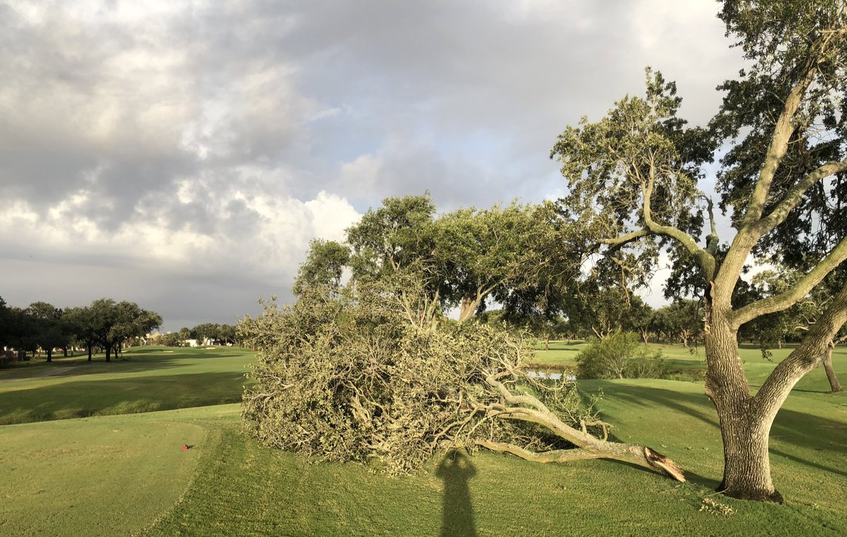 With 4.3” rain from Tropical Storm Harold ending a 77 day drought, my water hose and I have decided to take some time apart