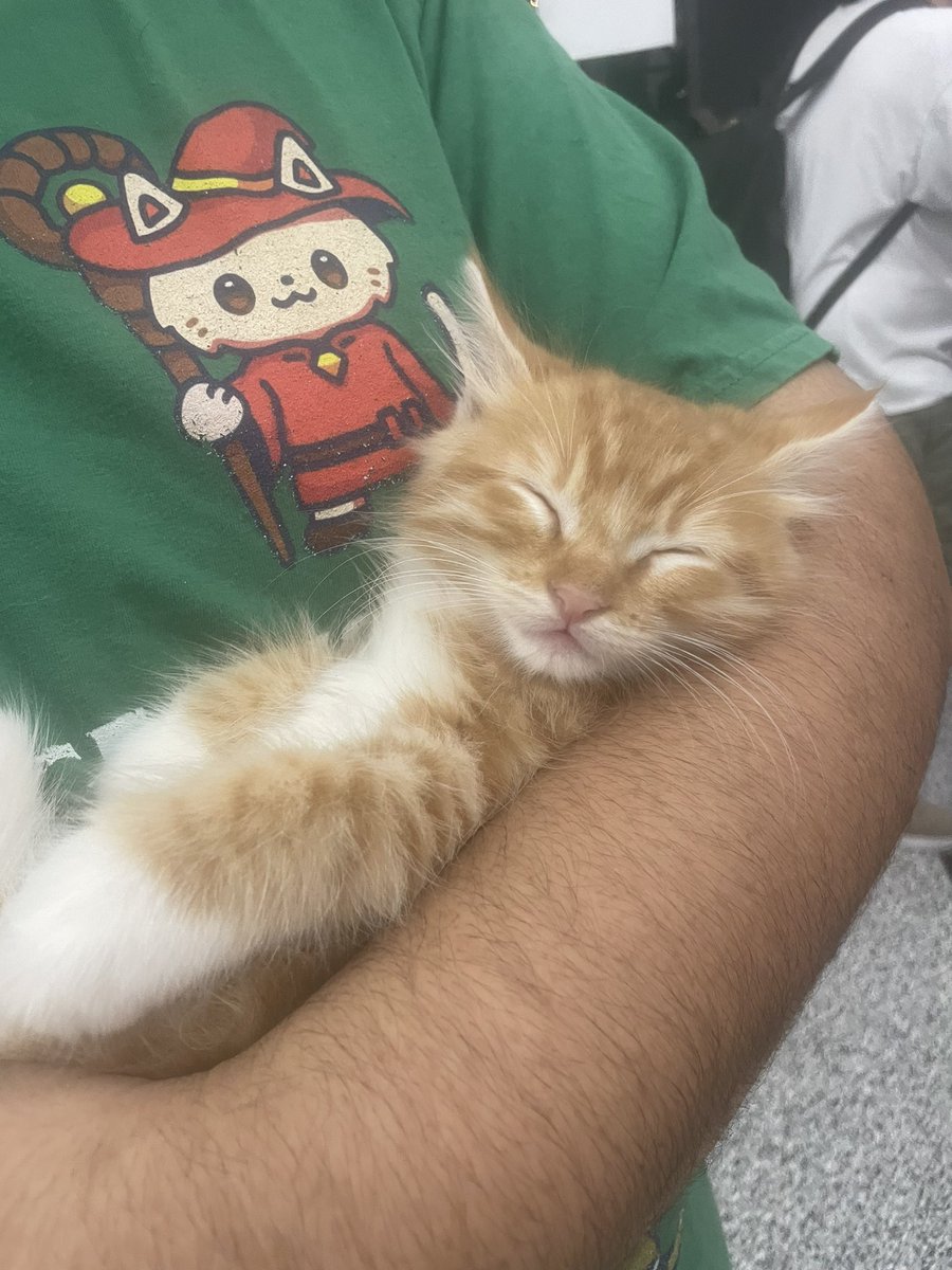 ThinkAndGrowRad's tweet image. Pickles said good morning, say it back or have a bad day.