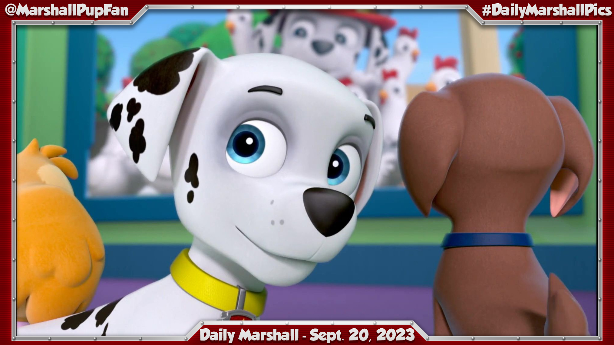 Marshall pup paw patrol new arrivals
