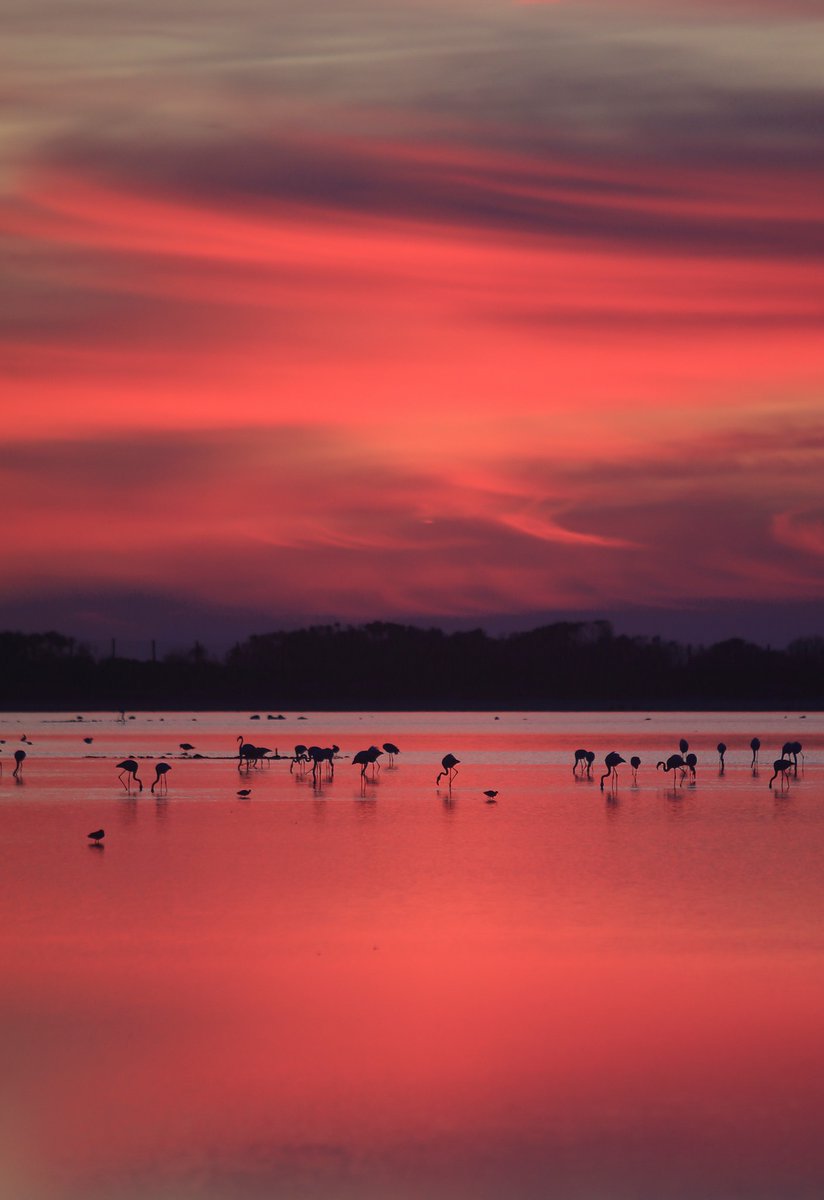 Turismo San Fernando tweet media