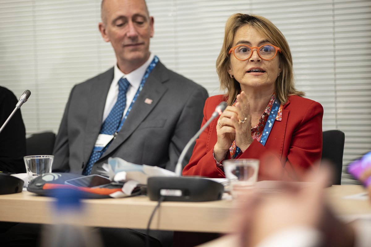 Catarina de Albuquerque tweet media