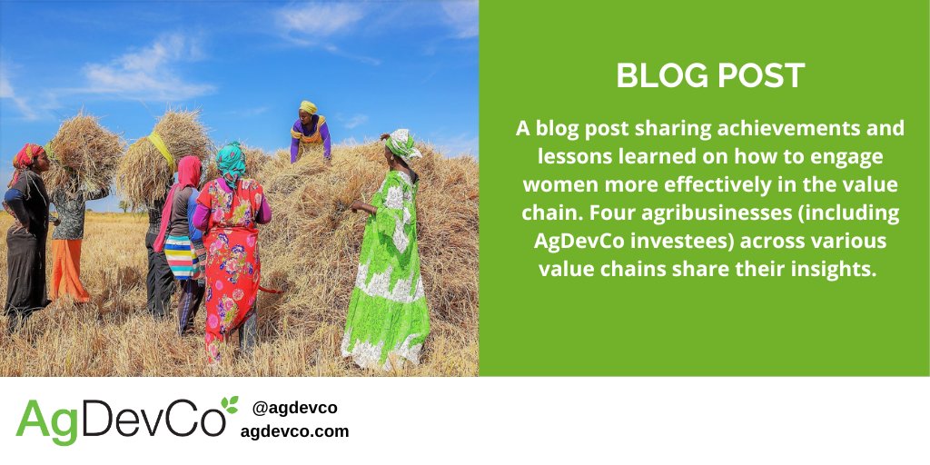 Wondering how to engage women more effectively in the value chain? AgDevCo’s Jasmin Hidanovic speaks to four industry practitioners (including AgDevCo investees) to tackle this important question. Read our new blog here: agdevco.com/news/how-to-en…