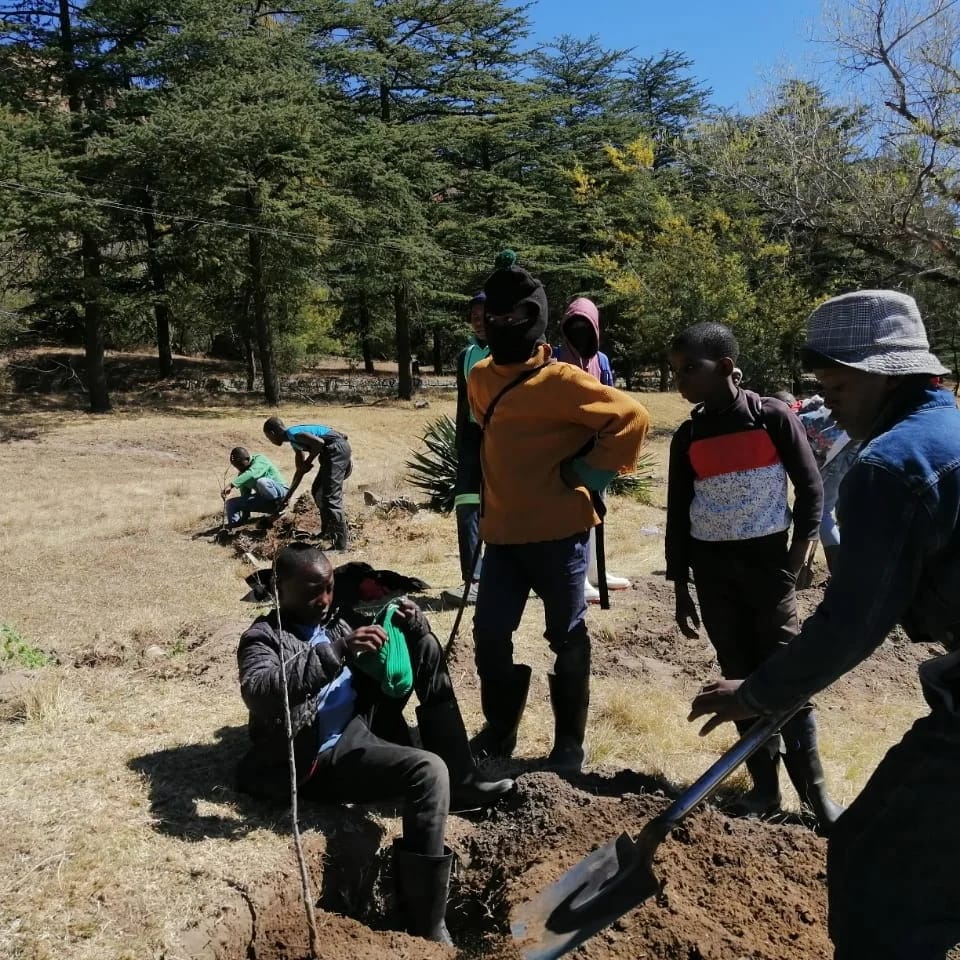 Limomonane Trust tweet media