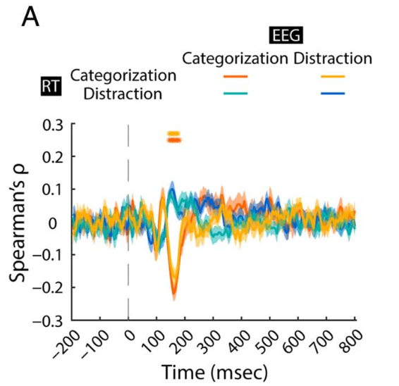 TimKietzmann's tweet photo. On to work of other labs that we have been involved in: Agnessa Karapetian from Radek Cichy’s lab combines EEG, behavioural data, and RCNNs to identify and model the brain-behaviour relationship for human scene categorization.

Location/Time: P-2B.38, Fri, 25 Aug, 13:00 - 15:00 https://t.co/PVirDCQvCT