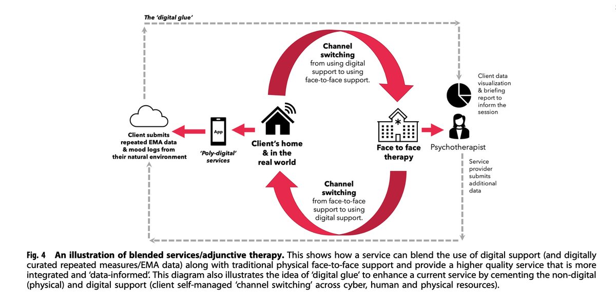 Outline framework for blended care in mental health.