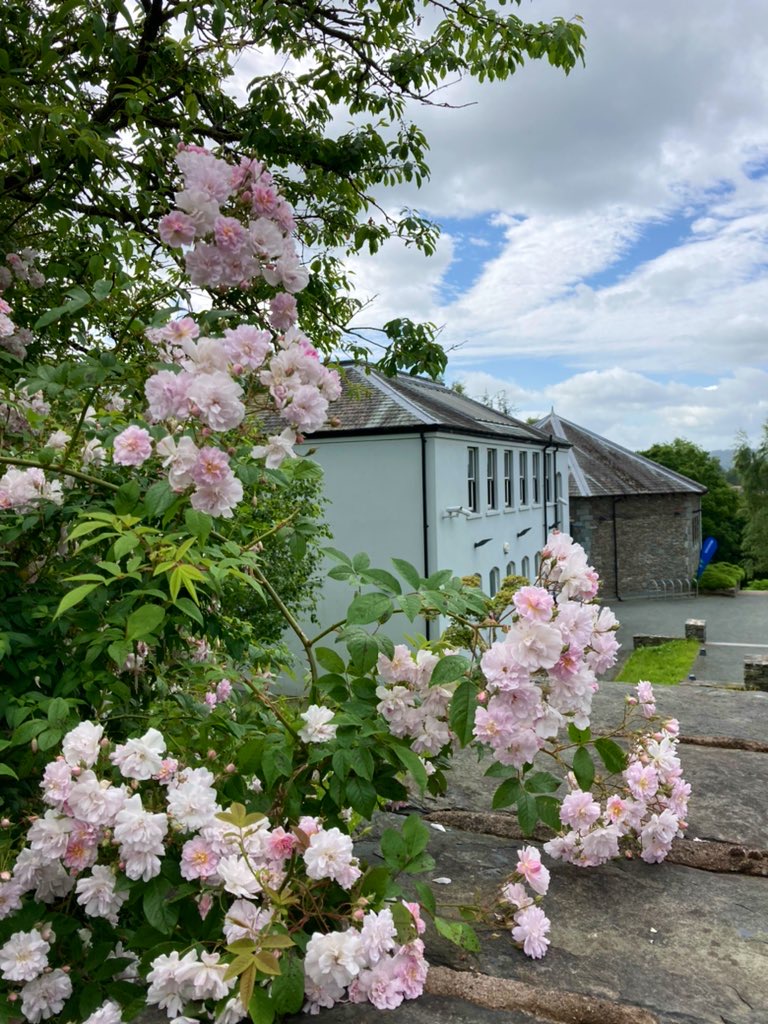 CumbriaEnglish's tweet image. Thinking about a new career direction or undertaking PG study in the field of literature & cultural studies? Find out more about our MA Literature, Romanticism & the English Lake District via our course webpage: cumbria.ac.uk/study/courses/…