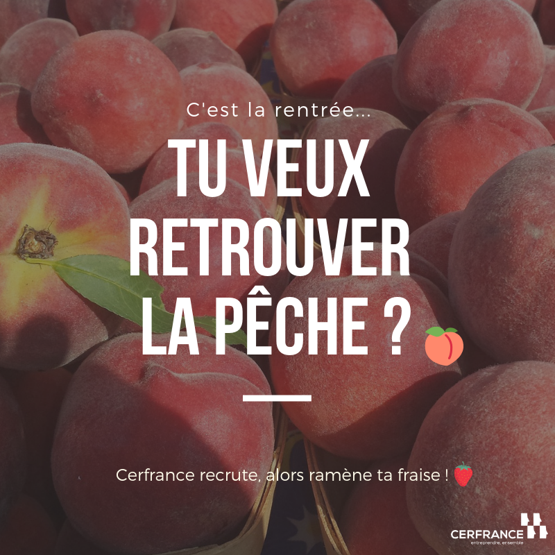 Cerfrance85's tweet photo. C'est bientôt la rentrée ... 👎

Tu veux quand même retrouver la pêche ? 🍑 

Cerfrance recrute, viens nous rencontrer !😀

Allez, ramène ta fraise sur https://t.co/oYG5CU7ijG 🍓 https://t.co/NKvpTQUm2l