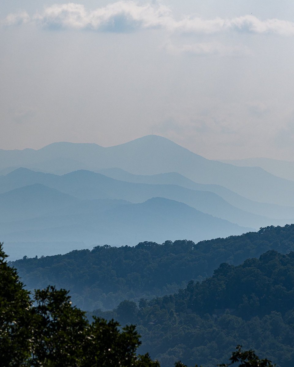 Asheville Pictures tweet media