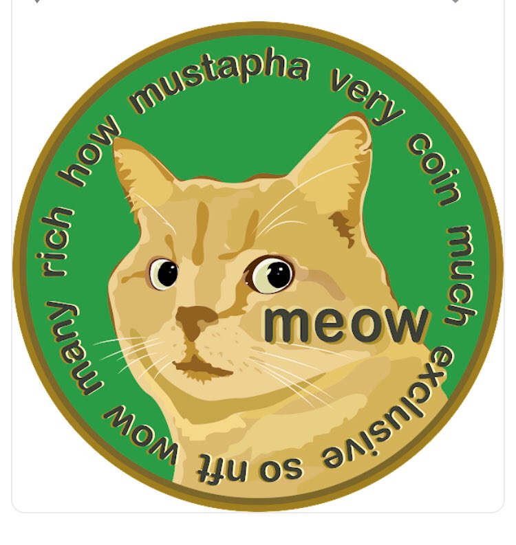 MustiCoin's tweet photo. @elonmusk @mayemusk we would like to see that shown more clearly. Thanks https://t.co/ADPABWZ05g