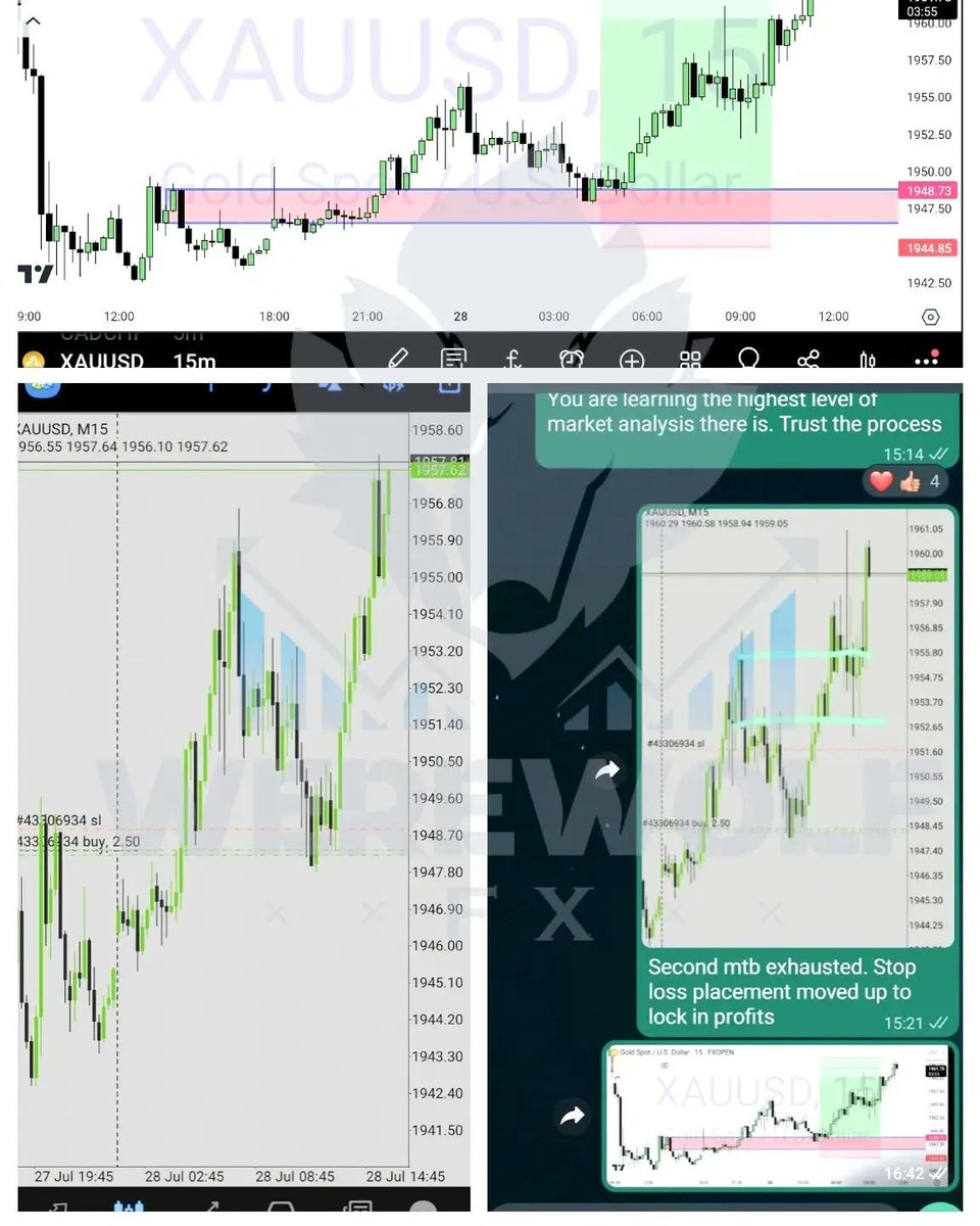 werewolf_FX's tweet photo. 💯 Join our satisfied community of traders who are already enjoying consistent success with my signals. Start leveraging my years of experience and expertise for only £47! Don't underestimate the power of informed decisions! 💼

#forexsignals #money #bitcoin #investment #forex https://t.co/qyjF4h2u0M