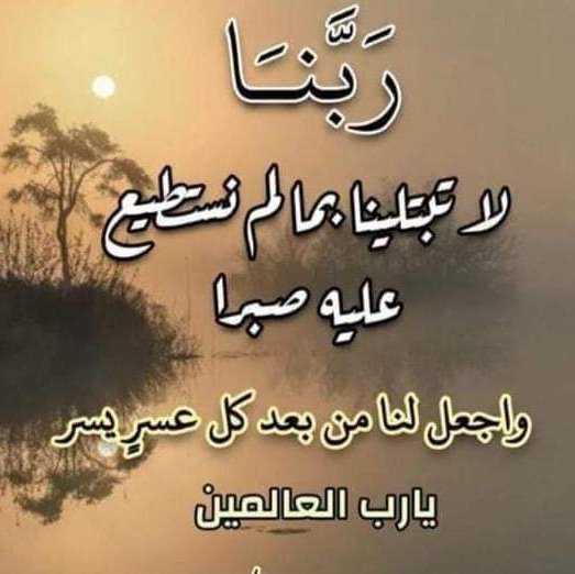 molavdp tweet picture